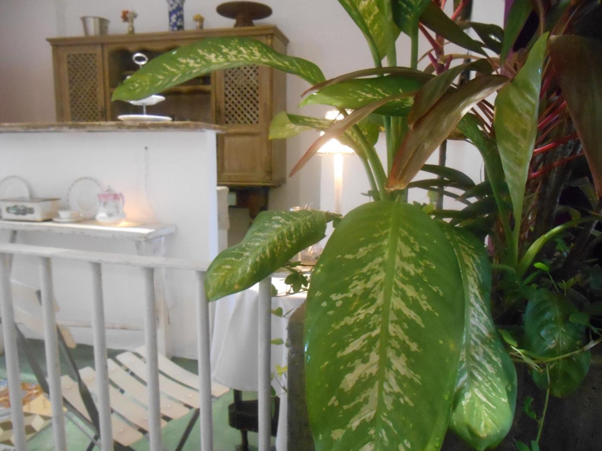 Solar Das Artes - Pousada Boutique Salvador Eksteriør billede